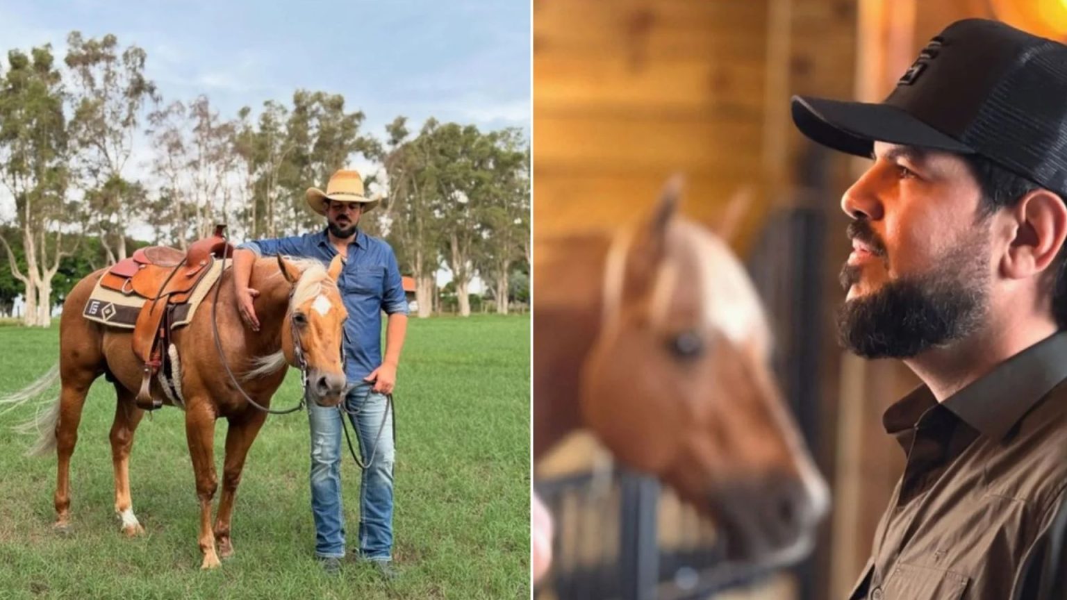 Sorocaba investe pesado e traz cavalo de linhagem nobre dos